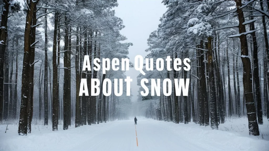 Aspen Quotes About Snow