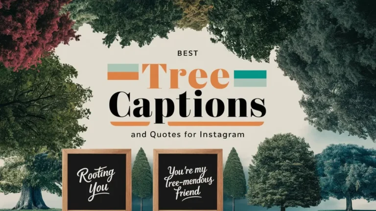 Best Tree Captions and Quotes for Instagram