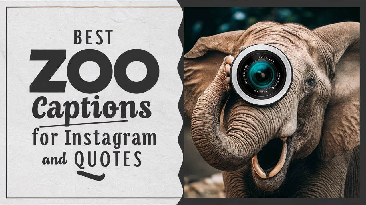 Best Zoo Captions For Instagram And Quotes