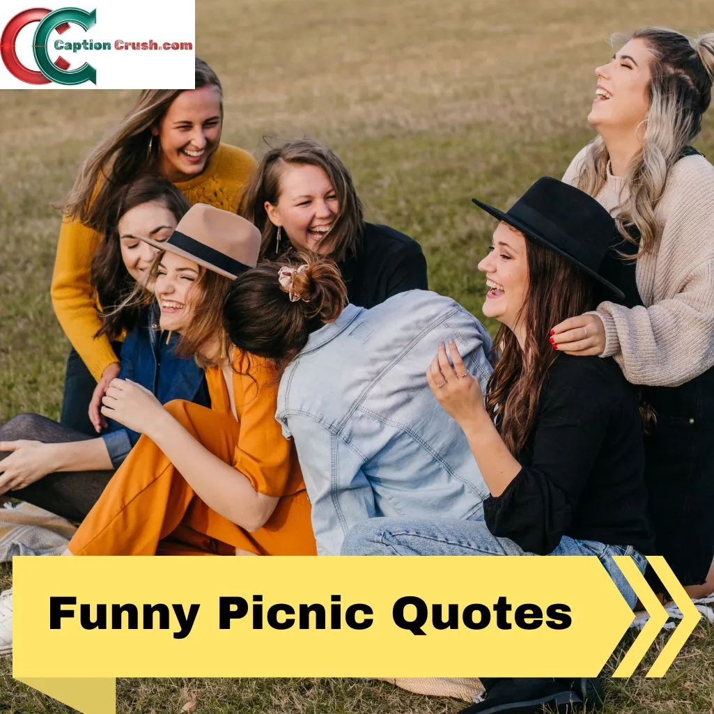 Funny Picnic Quotes