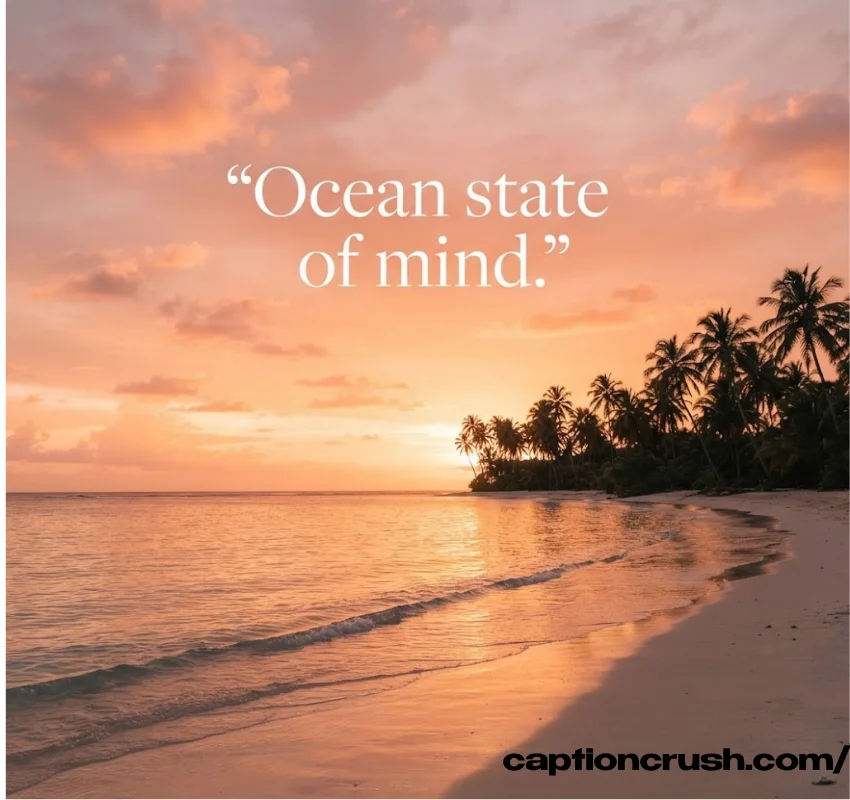 Aesthetic Vibe Captions & Beach Quotes for Instagram