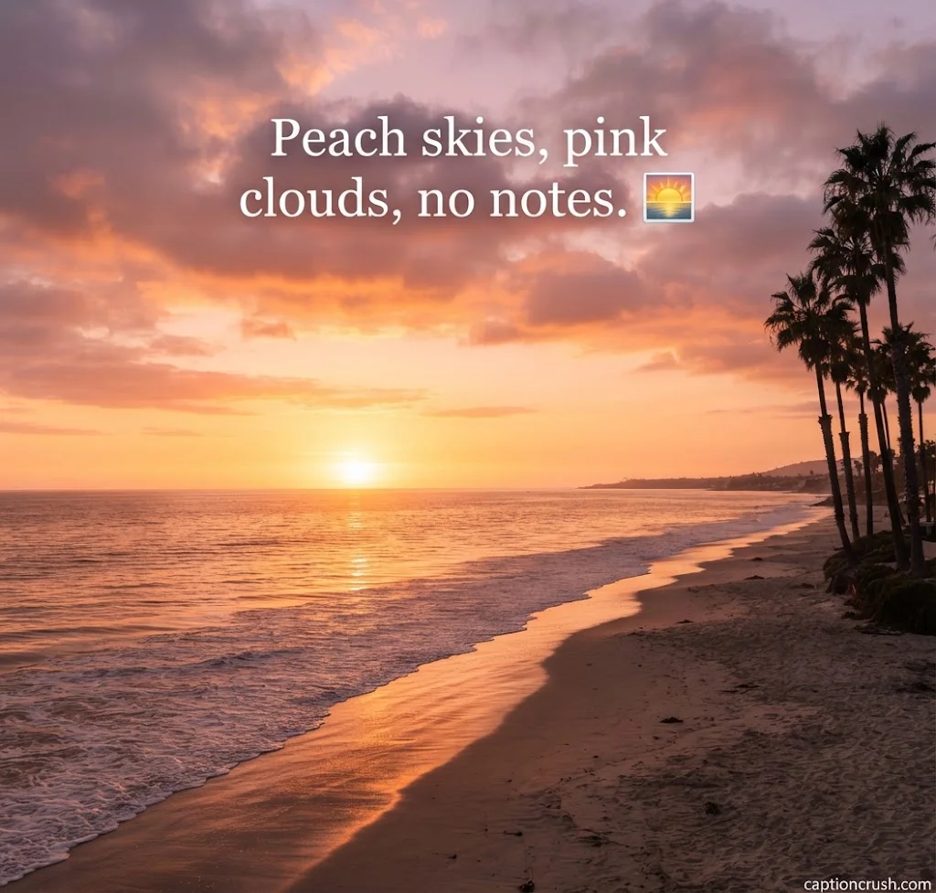 Short & Aesthetic California Captions for Instagram